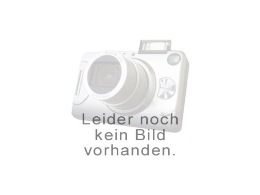 Speedmec Drehstrommotor mit K�figl�ufer (polumschaltbar)