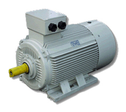 ecoDrives Drehstrommotor mit K�figl�ufer (polumschaltbar)