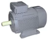 K21R 200L 8-4LF IEC-Drehstrom-Asynchronmotor (polumschaltbar)