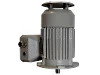 1MB1543-0CA32-2GB4-Z H00 IEC-Drehstrom-Asynchronmotor (explosionsgesch�tzt)