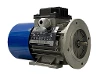 BMX 56 B2 IEC-Drehstrom-Asynchronmotor (mit Bremse)