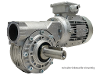 M63A-67-80A4-IE2 Schneckengetriebemotor
