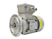 IEC three-phase asynchronous motor (explosion-proof) RL 63 A-4 / IE2