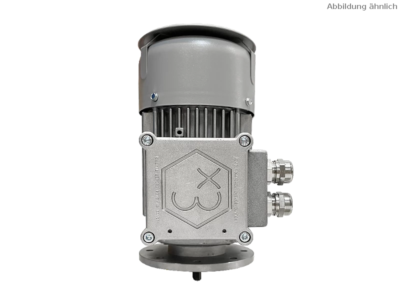 IEC three-phase asynchronous motor (explosion-proof) RL 63 A-4 / IE2