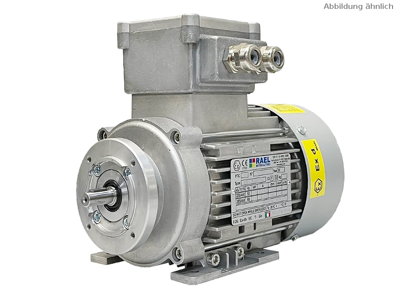 IEC three-phase asynchronous motor (explosion-proof) RL 63 A-4 / IE2
