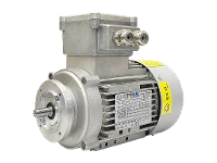 IEC three-phase asynchronous motor (explosion-proof) RL 71 B-4 / IE2