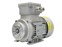 IEC three-phase asynchronous motor (explosion-proof) RL 71 B-4 / IE2