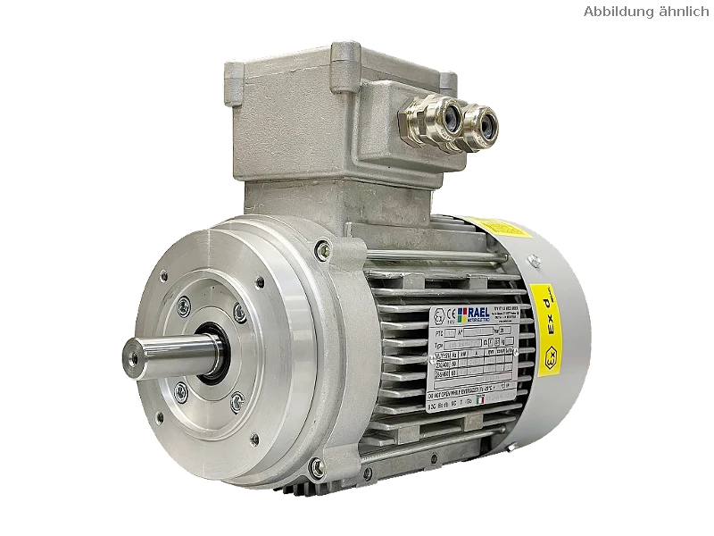IEC three-phase asynchronous motor (explosion-proof) RL 80 A-4 / IE2