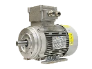 IEC three-phase asynchronous motor (explosion-proof) RL 80 B-4 / IE3