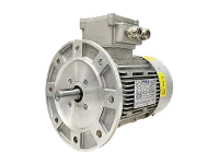 IEC three-phase asynchronous motor (explosion-proof) RL 90 S-4 / IE3