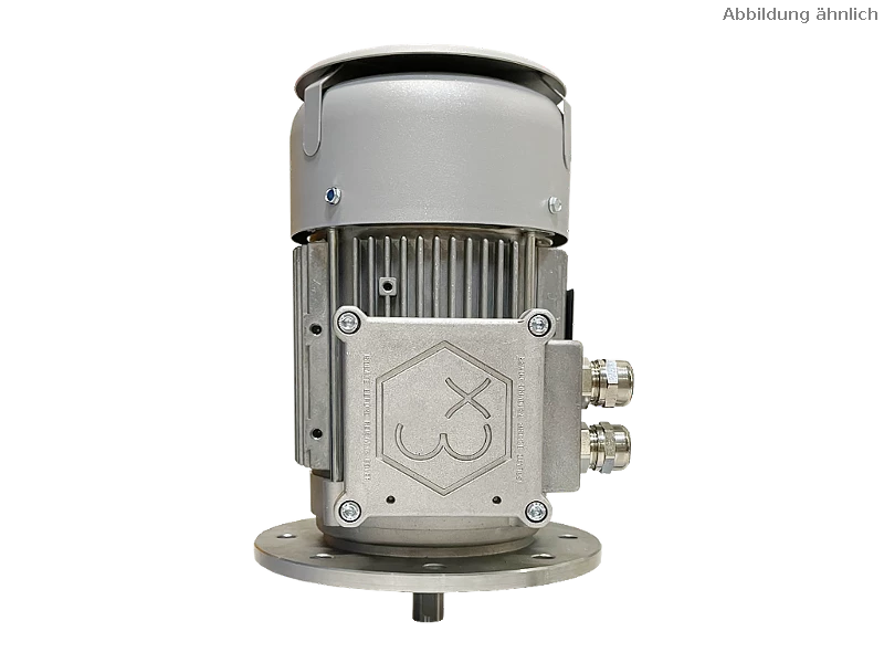 IEC three-phase asynchronous motor (explosion-proof) RL 90 S-4 / IE3