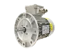 RL 100 LB-4 / IE3 IEC-Drehstrom-Asynchronmotor (explosionsgesch�tzt)