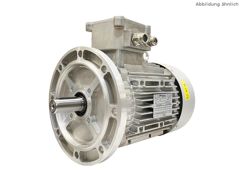 T&rcaron;&iacute;f&aacute;zov&yacute; asynchronn&iacute; motor IEC (nev&yacute;bu&scaron;n&yacute;) RL 132 SB-4 / IE3