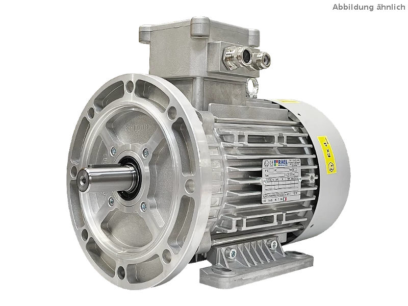 IEC three-phase asynchronous motor (explosion-proof) RL 132 SB-4 / IE3