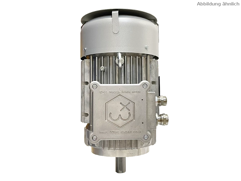 IEC three-phase asynchronous motor (explosion-proof) RL 132 M-4 / IE3