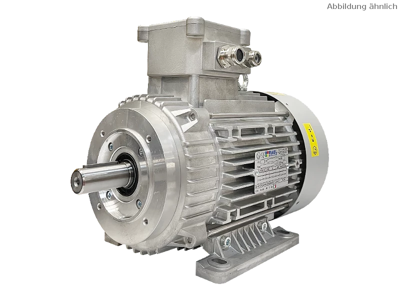 IEC three-phase asynchronous motor (explosion-proof) RL 132 M-4 / IE3
