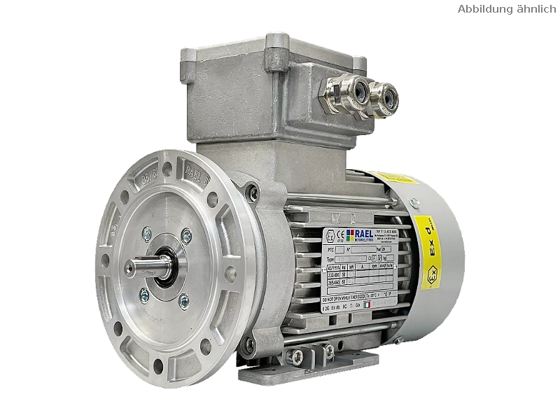 IEC three-phase asynchronous motor (explosion-proof) RL 56 A-2