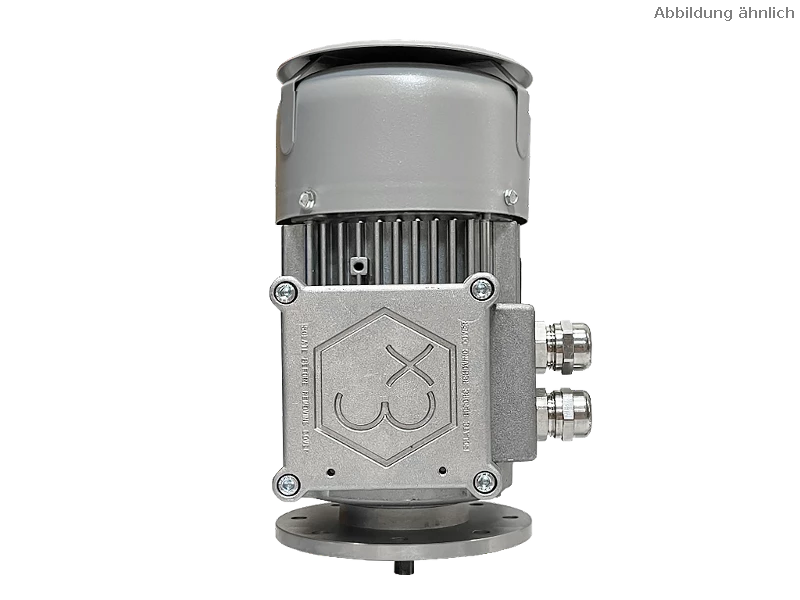 IEC three-phase asynchronous motor (explosion-proof) RL 56 A-2