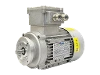 RL 56 B-2 / IE2 IEC-Drehstrom-Asynchronmotor (explosionsgesch�tzt)