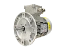 IEC three-phase asynchronous motor (explosion-proof) RL 80 A-2 / IE3