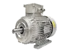 RL 112 M-2 / IE3 IEC-Drehstrom-Asynchronmotor (explosionsgesch�tzt)