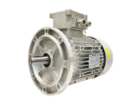 IEC three-phase asynchronous motor (explosion-proof) RL 132 SA-2 / IE3