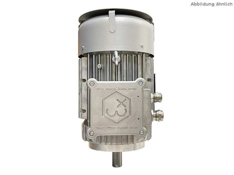 IEC three-phase asynchronous motor (explosion-proof) RL 132 SA-2 / IE3