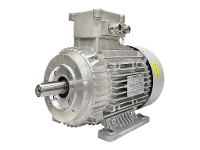 IEC three-phase asynchronous motor (explosion-proof) RL 132 SA-2 / IE3