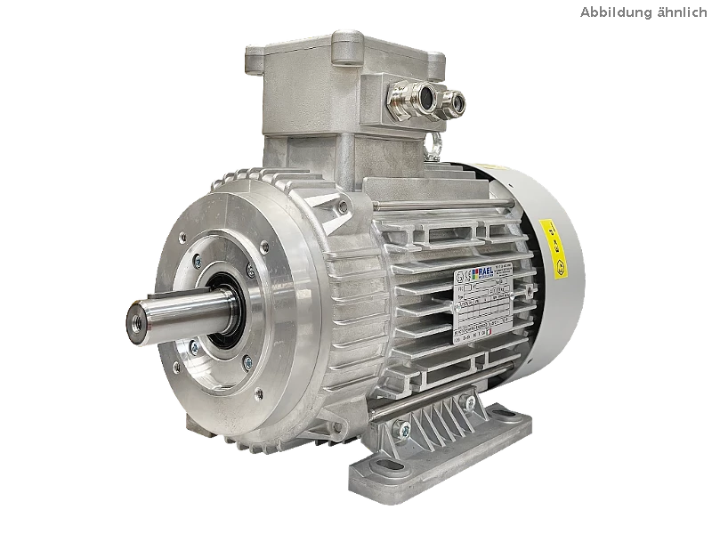 IEC three-phase asynchronous motor (explosion-proof) RL 132 SA-2 / IE3