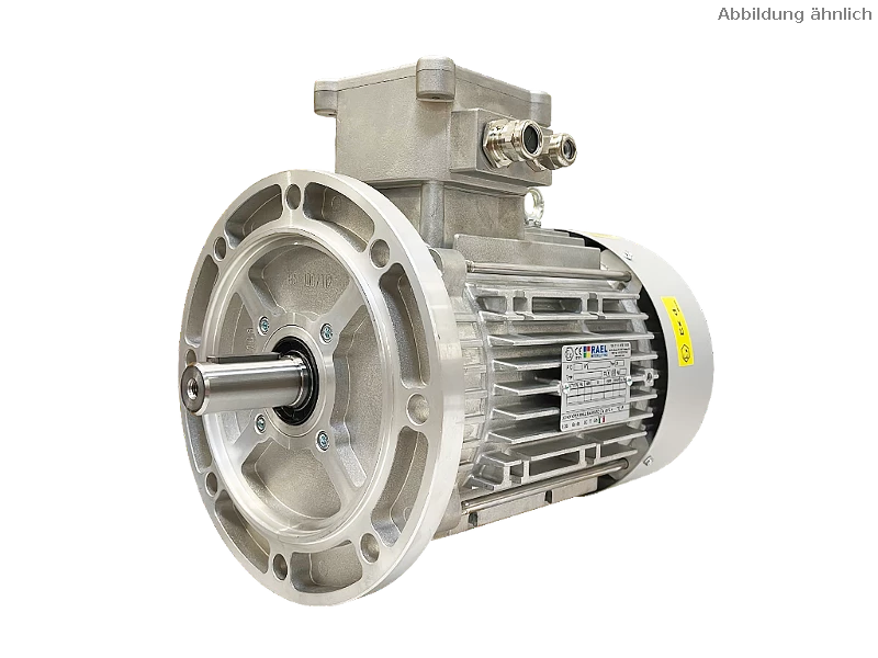 T&rcaron;&iacute;f&aacute;zov&yacute; asynchronn&iacute; motor IEC (nev&yacute;bu&scaron;n&yacute;) RL 132 SB-2 / IE3