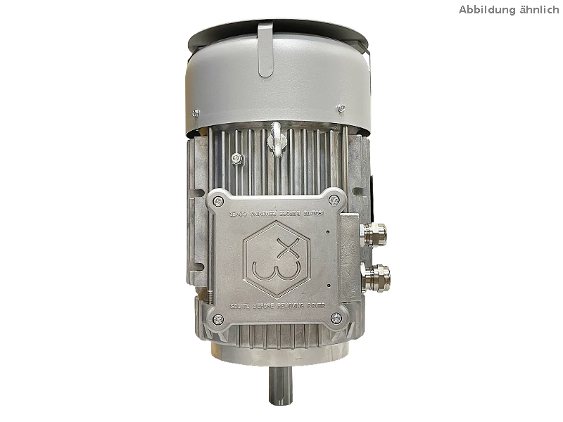 IEC three-phase asynchronous motor (explosion-proof) RL 132 SB-2 / IE3