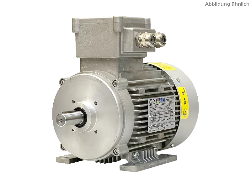 IEC three-phase asynchronous motor (explosion-proof) RL 80 A-4 / IE2