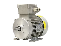 IEC three-phase asynchronous motor (explosion-proof) RL 90 S-4 / IE3