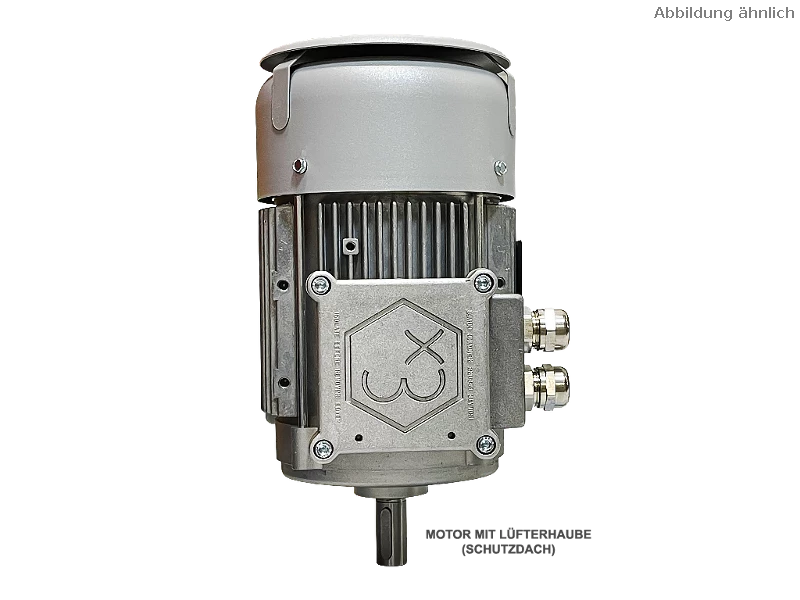 Motore asincrono trifase IEC (antideflagrante) RL 90 L-4 / IE3
