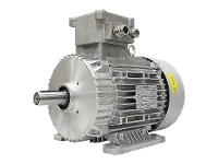 IEC three-phase asynchronous motor (explosion-proof) RL 132 M-4 / IE3
