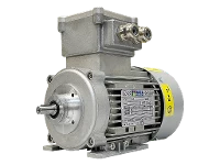 Motore asincrono trifase IEC (antideflagrante) RL 63 A-2 / IE2