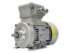 RL 63 A-2 / IE2 IEC-Drehstrom-Asynchronmotor (explosionsgesch�tzt)