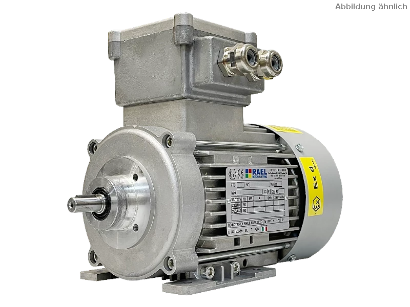 Motore asincrono trifase IEC (antideflagrante) RL 63 A-2 / IE2