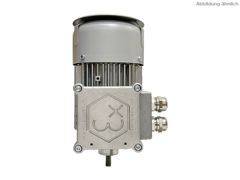 Motore asincrono trifase IEC (antideflagrante) RL 63 A-2 / IE2