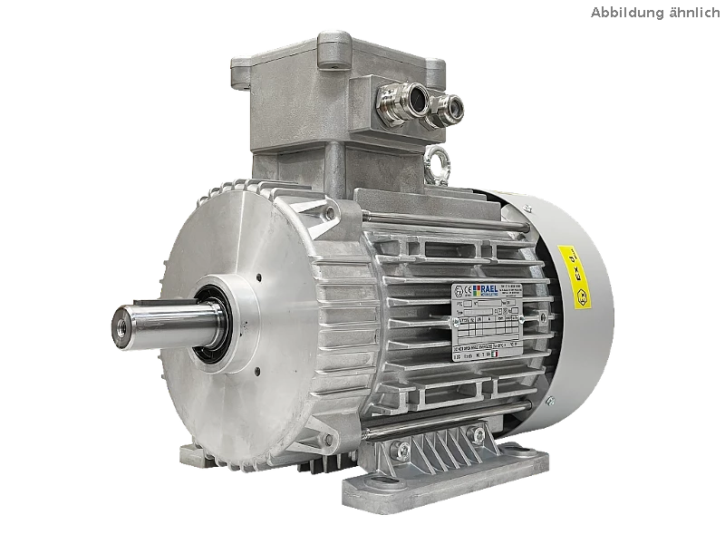 IEC three-phase asynchronous motor (explosion-proof) RL 132 SB-2 / IE3