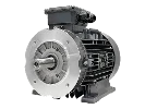 Motor as�ncrono trif�sico IEC DA3 132-S8