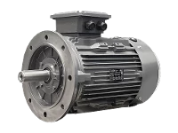 Moteur asynchrone triphas� IEC DG3 160-M8