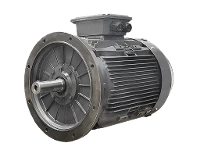 IEC driefasen asynchrone motor (verhoogd vermogen) DG4 250-MP2
