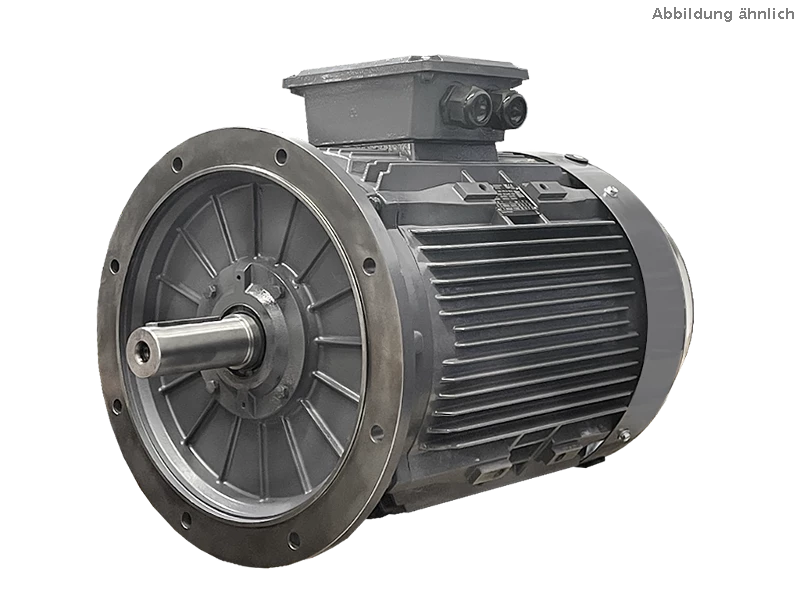 IEC driefasen asynchrone motor (verhoogd vermogen) DG4 250-MP2