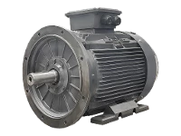 Moteur asynchrone triphas� IEC (puissance accrue) DG4 250-MP2