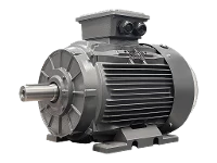 Motore asincrono trifase IEC (maggiore potenza) DG3 200-LP4