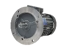 IEC driefasen asynchrone motor IE3-W41R 100 LX6 ST