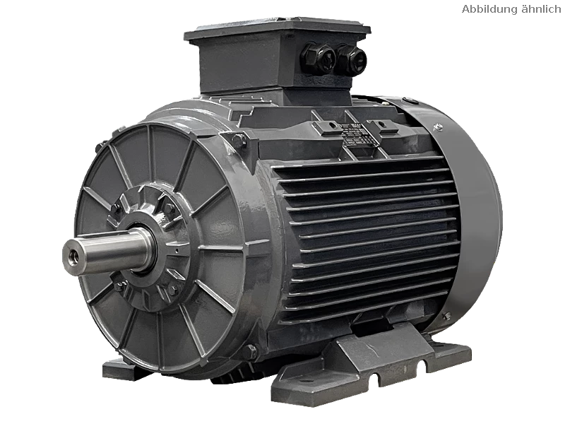 Motore asincrono trifase IEC DG4 280-M2