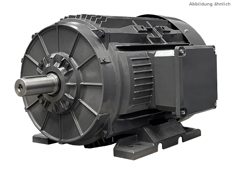Motor as�ncrono trif�sico IEC DG4 315-M2