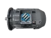 DG3 250-M4 IEC-Drehstrom-Asynchronmotor